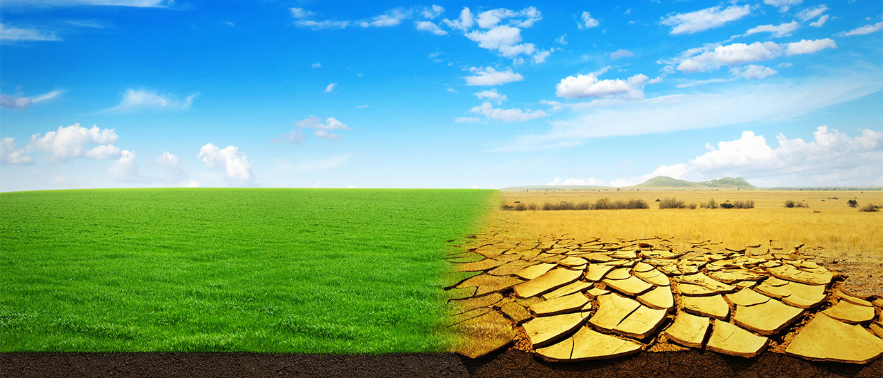 Sustainability Blog “Climate Change and Resilience”